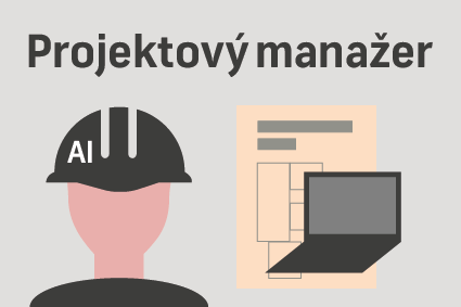 Projektový manažer